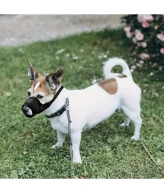 Adjustable Loop Mesh Fabric Dog Muzzle Anti-Biting Anti-Barking Anti-Chewing for Puppy to Medium Large Dog Training