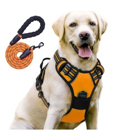 Night Reflective No-Pull Dog Harness with Handle and Slip Leads for Puppy to Medium Large Dog Training