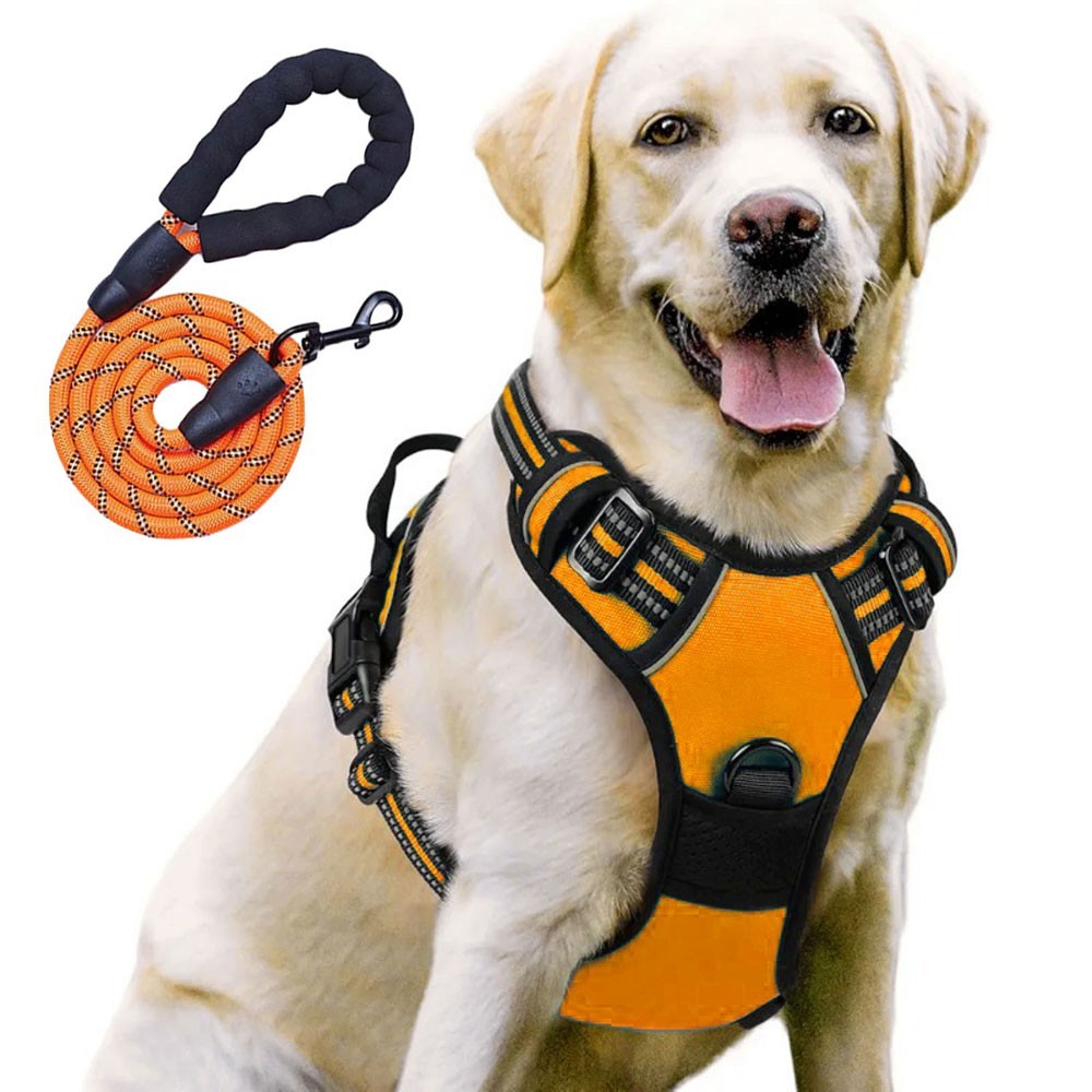 Night Reflective No-Pull Dog Harness with Handle and Slip Leads for Puppy to Medium Large Dog Training