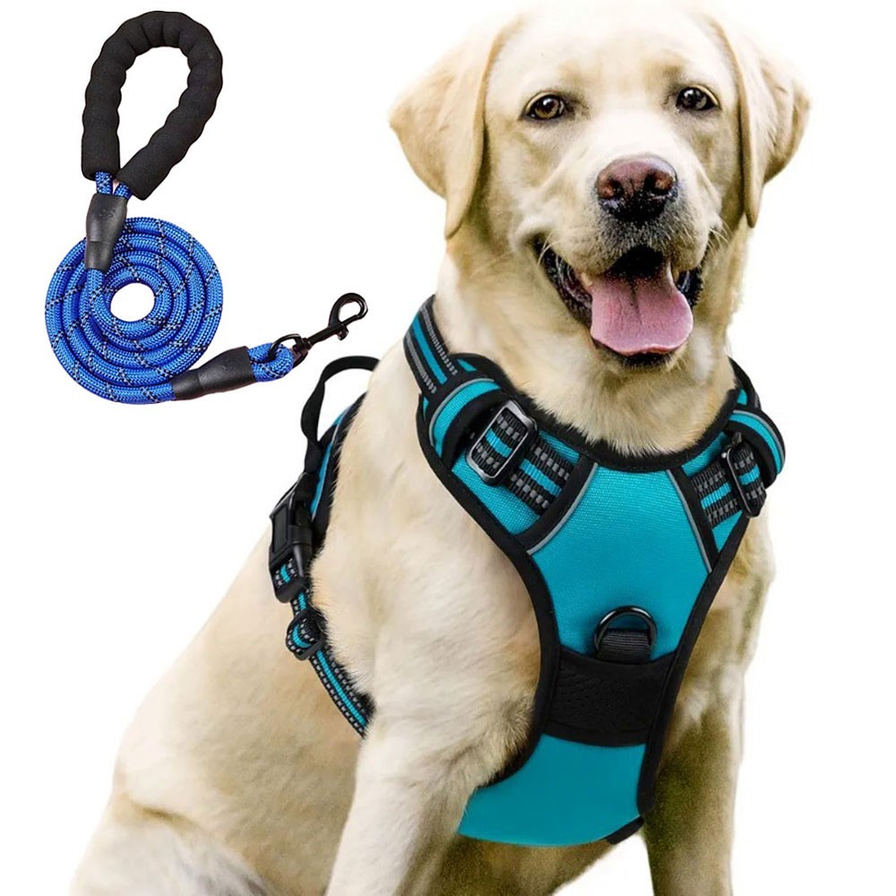 Night Reflective No-Pull Dog Harness with Handle and Slip Leads for Puppy to Medium Large Dog Training