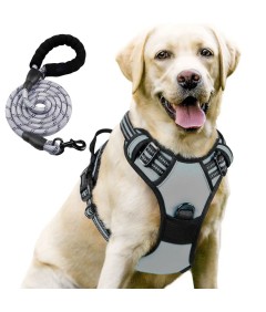 Night Reflective No-Pull Dog Harness with Handle and Slip Leads for Puppy to Medium Large Dog Training