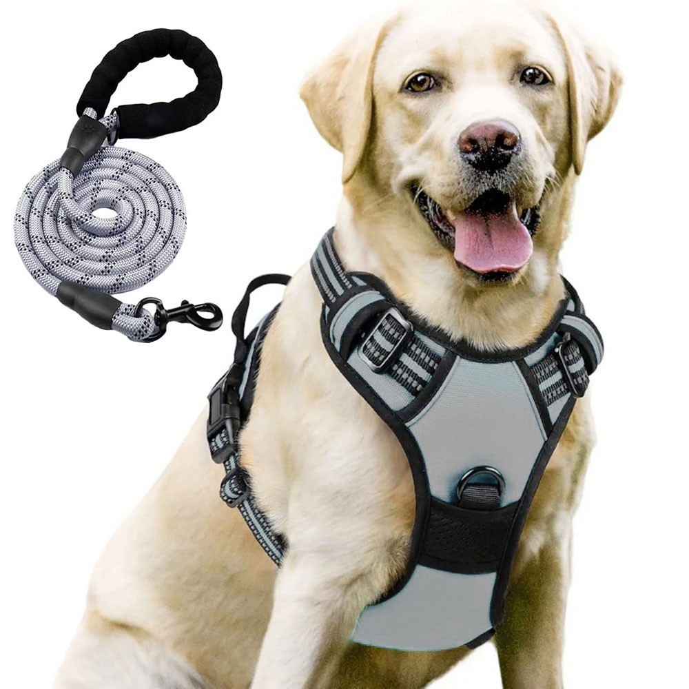 Night Reflective No-Pull Dog Harness with Handle and Slip Leads for Puppy to Medium Large Dog Training