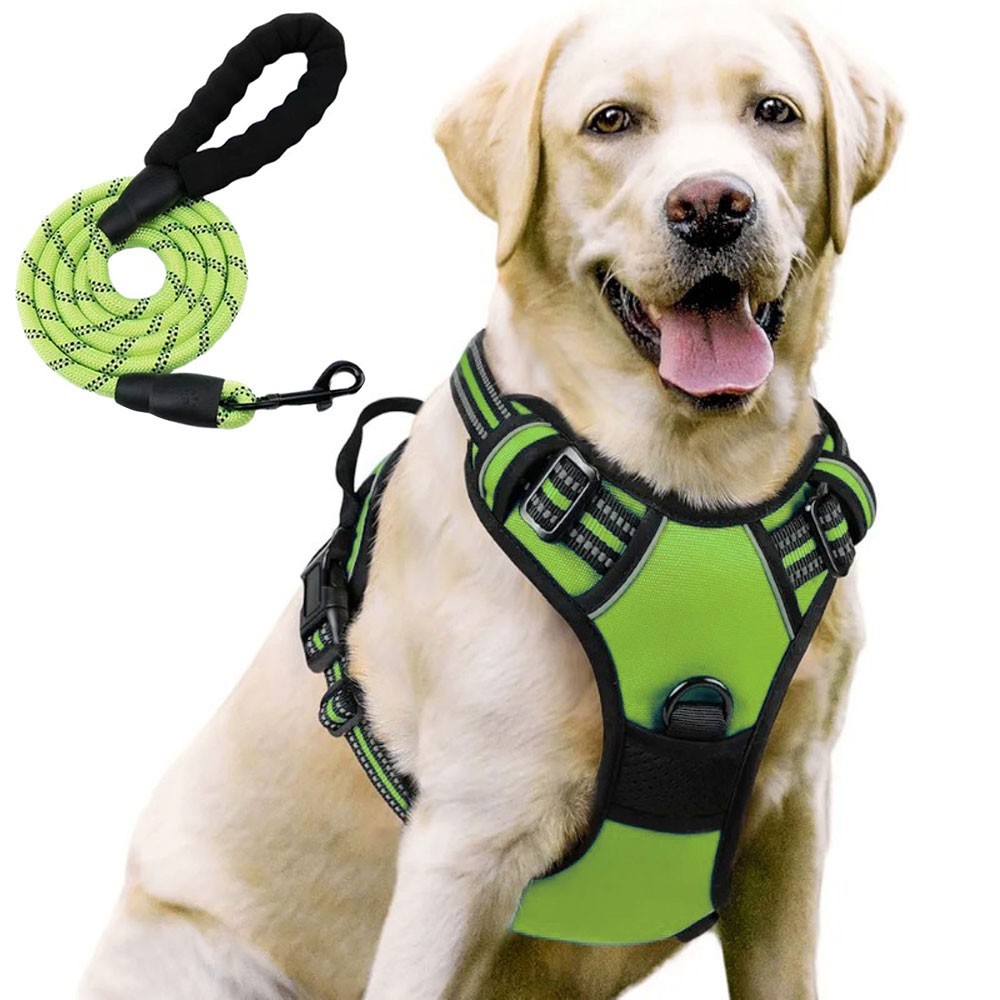 Night Reflective No-Pull Dog Harness with Handle and Slip Leads for Puppy to Medium Large Dog Training