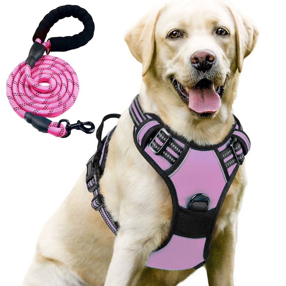 Night Reflective No-Pull Dog Harness with Handle and Slip Leads for Puppy to Medium Large Dog Training