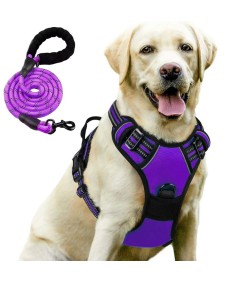 Night Reflective No-Pull Dog Harness with Handle and Slip Leads for Puppy to Medium Large Dog Training