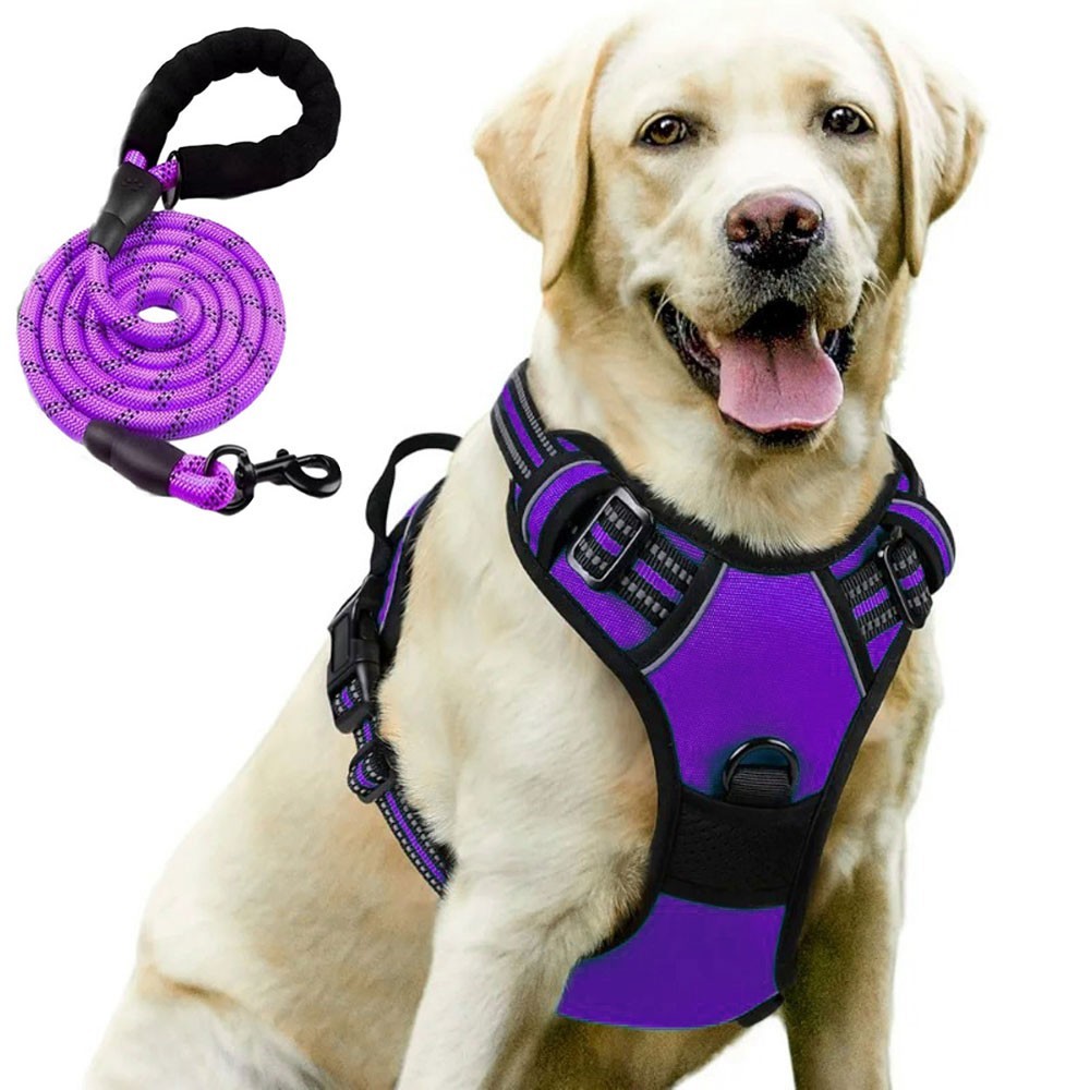 Night Reflective No-Pull Dog Harness with Handle and Slip Leads for Puppy to Medium Large Dog Training