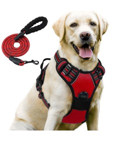 Night Reflective No-Pull Dog Harness with Handle and Slip Leads for Puppy to Medium Large Dog Training