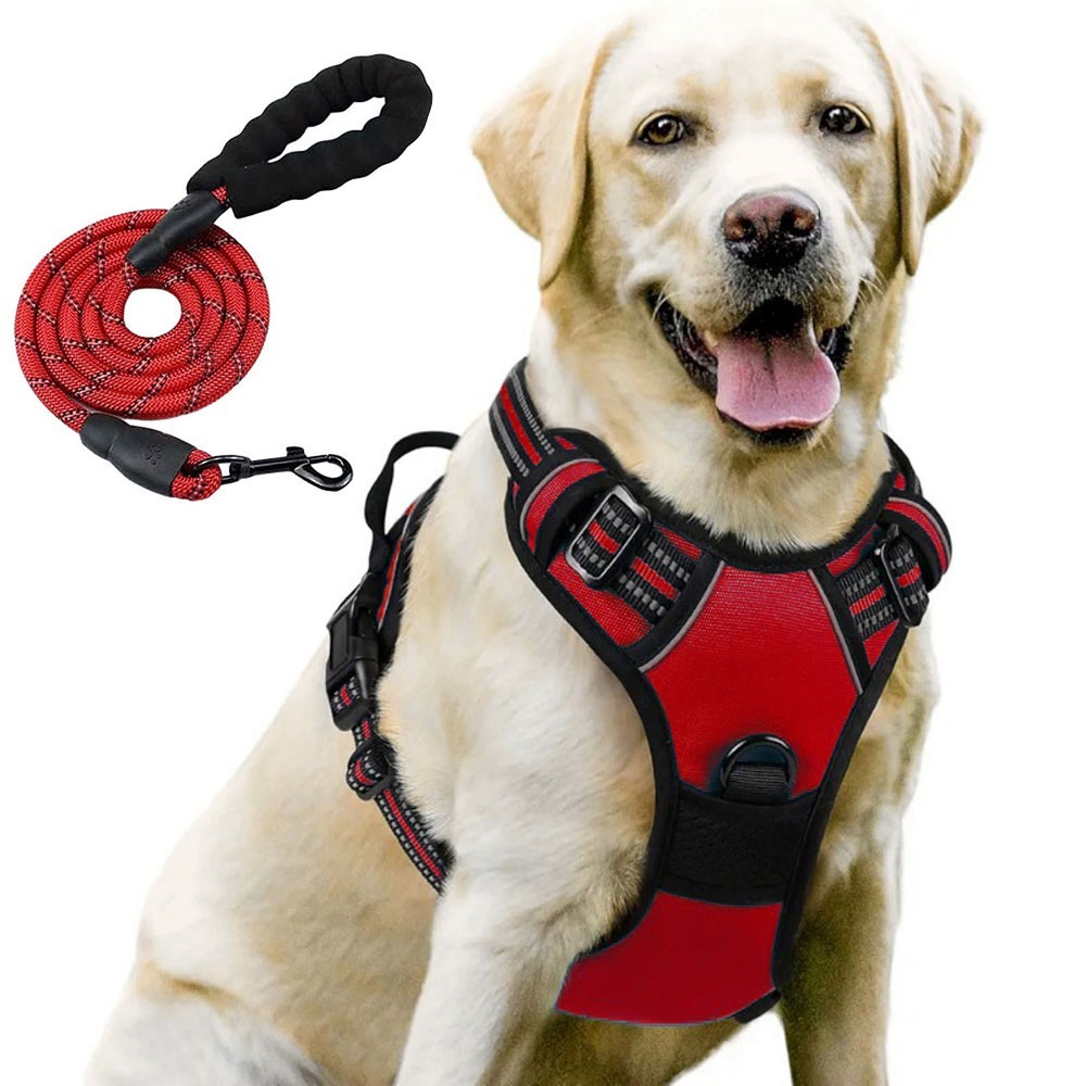 Night Reflective No-Pull Dog Harness with Handle and Slip Leads for Puppy to Medium Large Dog Training