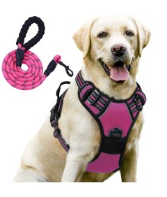 Night Reflective No-Pull Dog Harness with Handle and Slip Leads for Puppy to Medium Large Dog Training