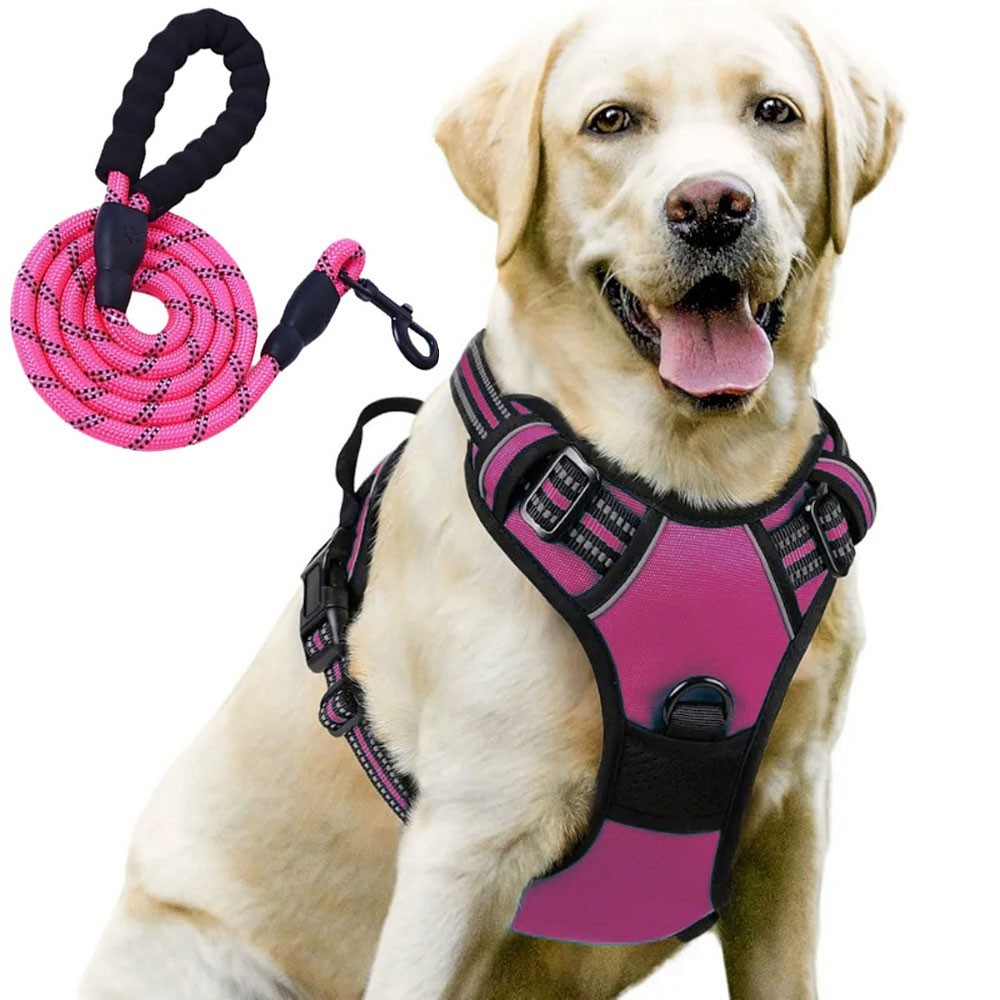 Night Reflective No-Pull Dog Harness with Handle and Slip Leads for Puppy to Medium Large Dog Training