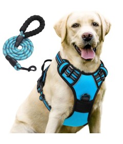 Night Reflective No-Pull Dog Harness with Handle and Slip Leads for Puppy to Medium Large Dog Training