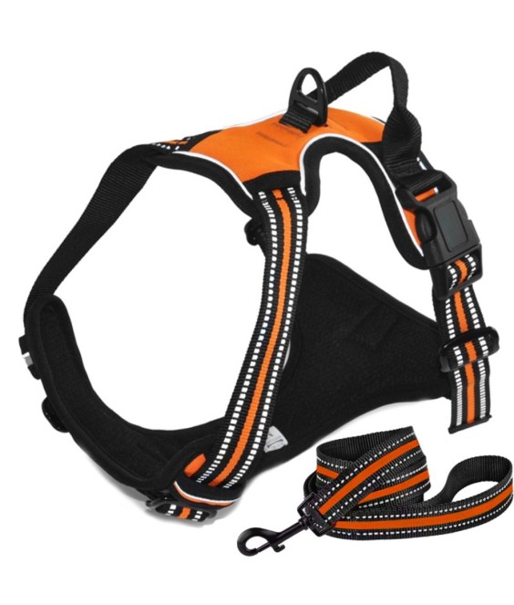 Night Reflective No-Pull Dog Harness with Handle and Slip Leads for Puppy to Medium Large Dog Training