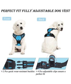 Night Reflective No-Pull Dog Harness with Handle and Slip Leads for Puppy to Medium Large Dog Training