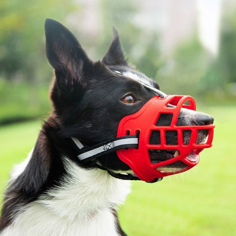 Night Reflective Soft Plastic Basket Dog Muzzle Anti-Biting Anti-Barking Anti-Chewing for Puppy to Medium Large Dogs Training